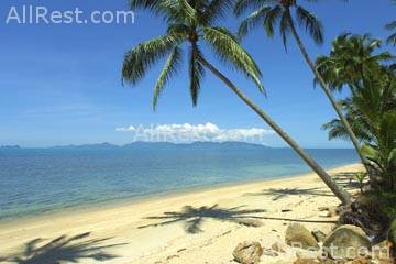 Coconut Village 10